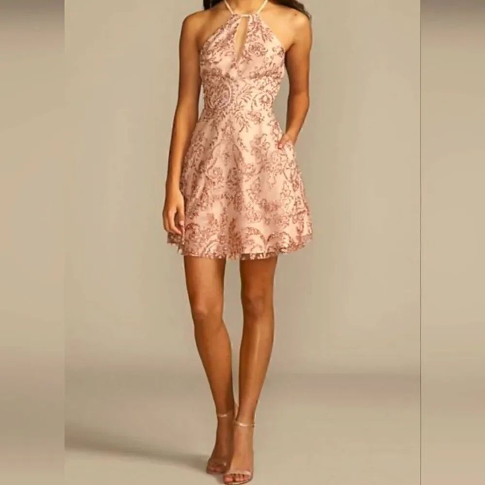 Gorgeous 15 Roses pink dress with gold overlay design NWT